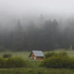 Solar Panel FAQs: Insights from Solaris Experts
